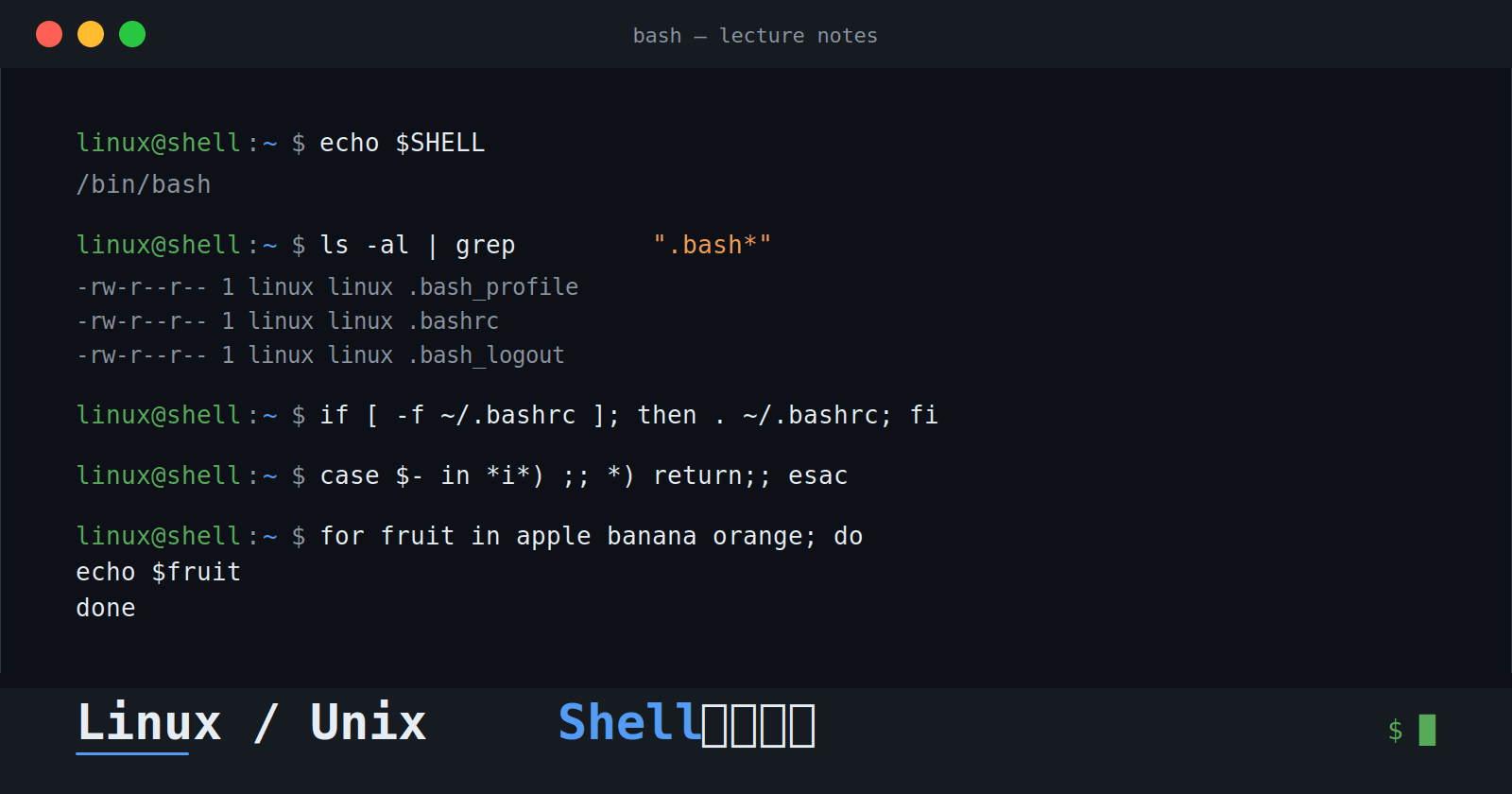 Understanding the Shell
